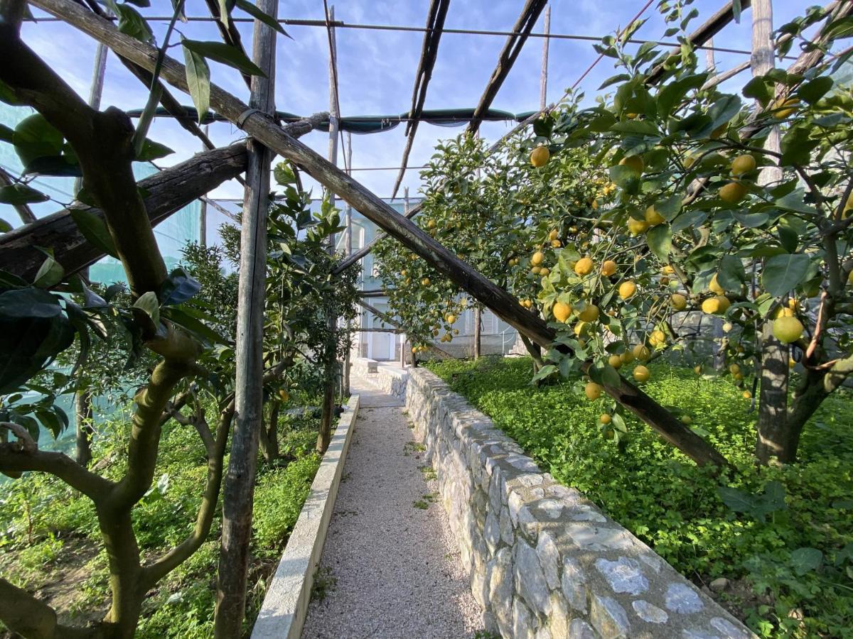 Villa "Il Fienile Di Zia Teresa" Massa Lubrense Exterior foto